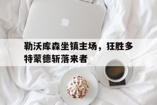 勒沃库森坐镇主场，狂胜多特蒙德斩落来者