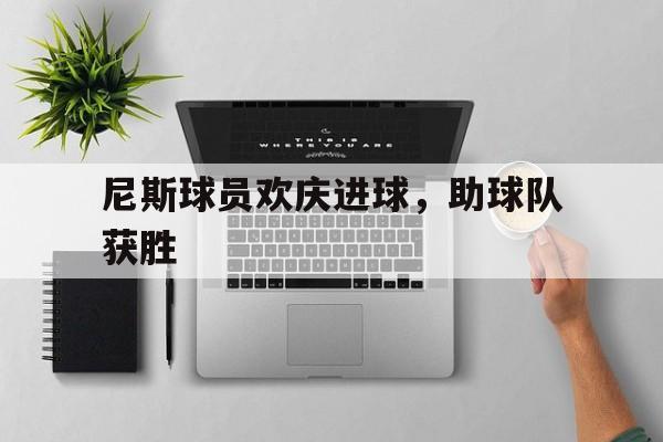 尼斯球员欢庆进球，助球队获胜