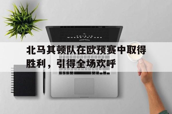 北马其顿队在欧预赛中取得胜利，引得全场欢呼