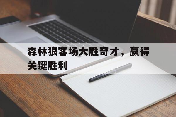 森林狼客场大胜奇才，赢得关键胜利